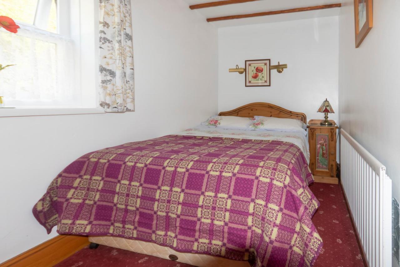 Rosebud Cottage Romantic Cottage For A Couple Fishguard Eksteriør billede